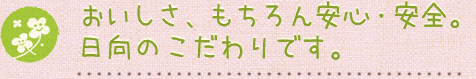 おいしさ、もちろん安心・安全。日向のこだわりです。